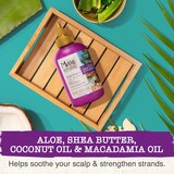 Maui Moisture Frizz Free Shea Butter Hair & Dry Scalp Milk, 5 OZ, thumbnail image