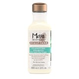 Maui Moisture Scalp Care Clarifying Shampoo, 13 OZ, thumbnail image