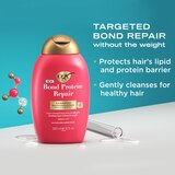 OGX Bond Protein Repair Lightweight Shampoo, 13 OZ, thumbnail image