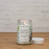 Northern Lights Aromatherapy Candle, Eucalyptus & Mint, 9 oz, thumbnail image