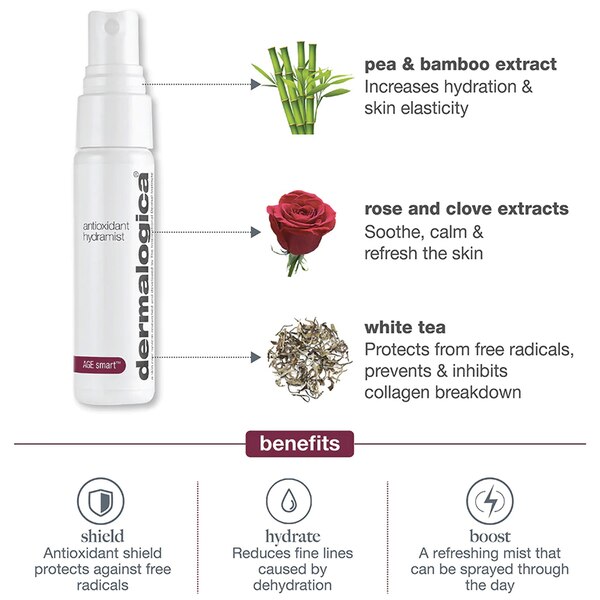 Dermalogica Antioxidant HydraMist, 5.1 OZ