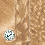 Garnier Nutrisse Nourishing Permanent Hair Color Creme, thumbnail image