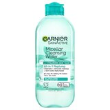 Garnier SkinActive Micellar Hyaluronic Acid Replumping Cleansing Water, thumbnail image