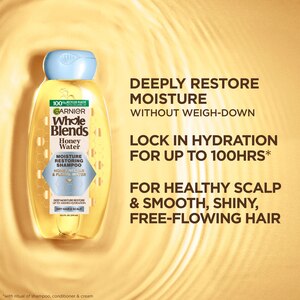 Garnier Whole Blends Honey Water Moisture Restoring Shampoo, 12.5 OZ
