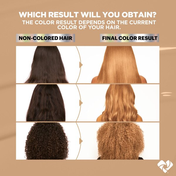 Garnier Nutrisse Ultra Color Caramelo Blonde Nourishing Permanent Hair Color