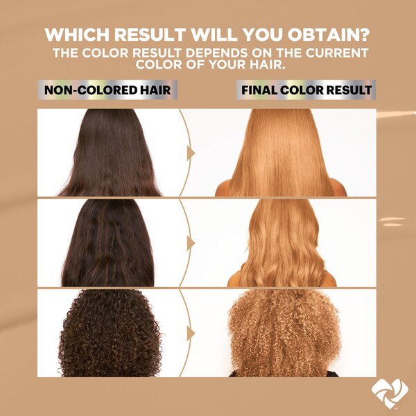 Garnier Nutrisse Ultra Color Caramelo Blonde Nourishing Permanent Hair Color
