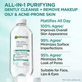 Garnier Micellar Cleansing Water with Salicylic Acid, 13.5 OZ, thumbnail image