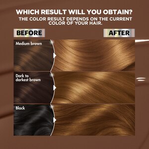 Garnier Nutrisse Ultra Color Nourishing Permanent Hair Color Crème, RP1 Cherry Flamingo, M2 Medium Intense Magenta, EM1 Deep Intense Emerald, LC3 Caramelo Blonde, LC1 Caramelo Blonde, B4 Golden Mahogany Brown, BL21 Blue Black, BR2 Dark Intense Burgundy, BR3 Intense Burgundy, B11 Jet Blue Black, V2 Dark Intense Violet, IN1 Dark Intense Indigo, LC2 Caramelo Blonde, R3 Light Intense Auburn, B3 Golden Brown