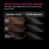 Garnier Olia Oil Powered Permanent Hair Color, thumbnail image 2 of 8