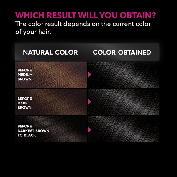 Garnier Olia Oil Powered Permanent Hair Color