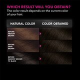 Garnier Olia Oil Powered Permanent Hair Color, thumbnail image