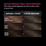 Garnier Olia Oil Powered Permanent Hair Color, thumbnail image 2 of 8