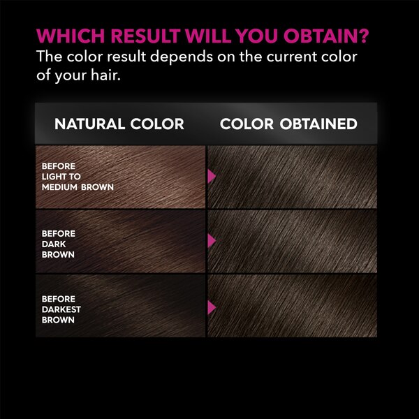 Garnier Olia Oil Powered Permanent Hair Color