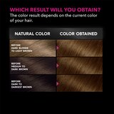 Garnier Olia Oil Powered Permanent Hair Color, thumbnail image