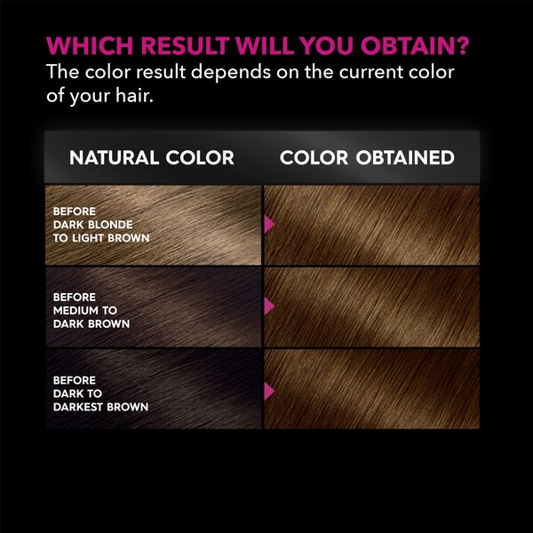 Garnier Olia Oil Powered Permanent Hair Color