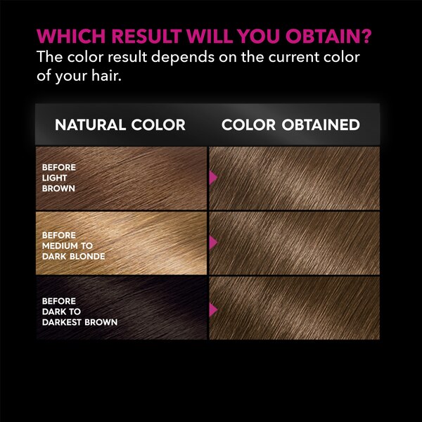 Garnier Olia Oil Powered Permanent Hair Color