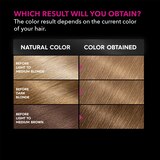Garnier Olia Oil Powered Permanent Hair Color, thumbnail image