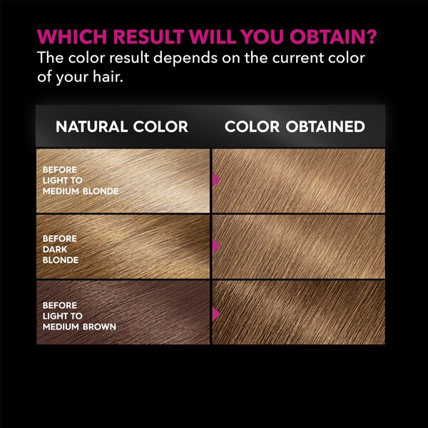 Garnier Olia Oil Powered Permanent Hair Color