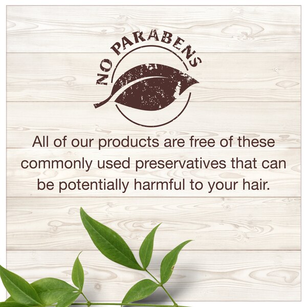 Garnier Whole Blends Moroccan Argan & Camellia Oil Extracts Illuminating Shampoo