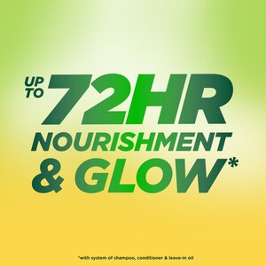 Garnier Fructis Triple Nutrition Shampoo, 12.5 OZ
