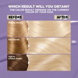 Garnier Nutrisse Ultra Color Advanced Lightening Nourishing Hair Color Creme, thumbnail image