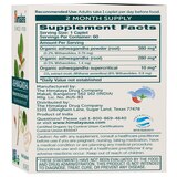 Himalaya Organic Ashwagandha, 60 CT, thumbnail image