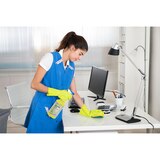 Sani-Spritz Spray One-Step Disinfectant Cleaner, 32 OZ, thumbnail image