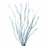 Nexxus Hydra-Light Weightless Moisture Conditioner, thumbnail image 5 of 6