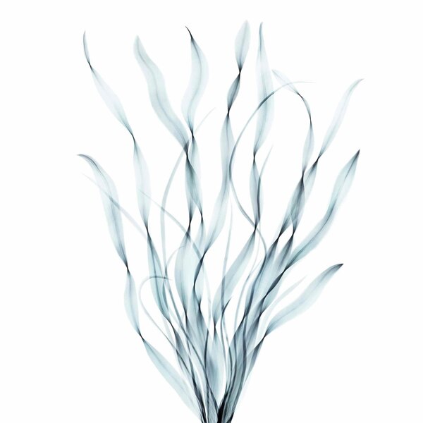 Nexxus Hydra-Light Weightless Moisture Conditioner