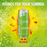 Red Bull, Summer Edition Curuba Elderflower Energy Drink, 12 Oz , thumbnail image 3 of 8