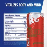 Red Bull, Red Edition, Watermelon Energy Drink, 8.4 oz, thumbnail image