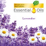 Air Wick Scented Oil Twin Refill, thumbnail image