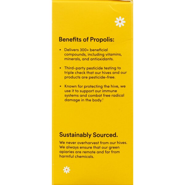 Beekeeper's Naturals Kid's Propolis Daytime Cough Syrup, 4 OZ