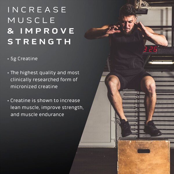 MuscleTech Platinum 100% Creatine