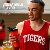 Six Star Froot Loops Protein Powder, thumbnail image