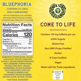 Guyaki, Yerba Mate Organic, Bluephoria, 15.50 oz, thumbnail image