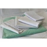 Allman Hospital Bed Set, thumbnail image