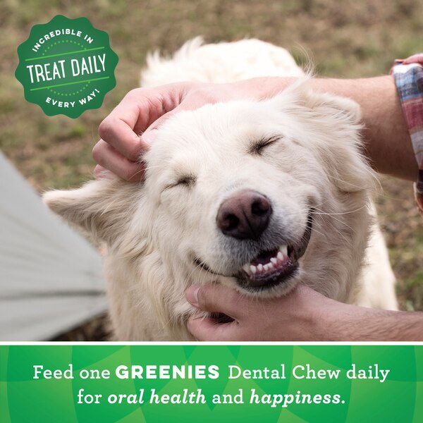 Greenies Dental Treats Original, Teenie