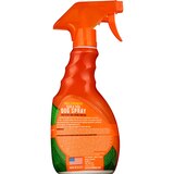 Flick! Max Strength Flea & Tick Dog Spray, 16 OZ, thumbnail image