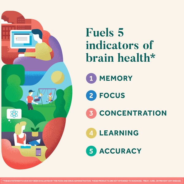 Neuriva Original - Suplemento dietario para el buen funcionamiento del cerebro, ayuda a la atención, memoria, aprendizaje, precisión y concentración, 30 u.