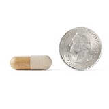 Neuriva Plus Brain Performance Capsules, 30 CT, thumbnail image