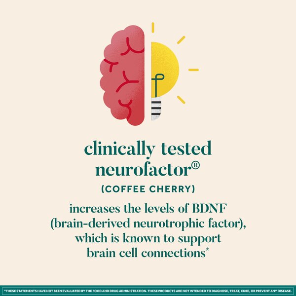 Neuriva Brain + Energy Gummies , Blackberry, 75 CT