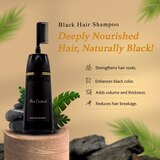 Skin Centrick Gray Coverage Shampoo, thumbnail image