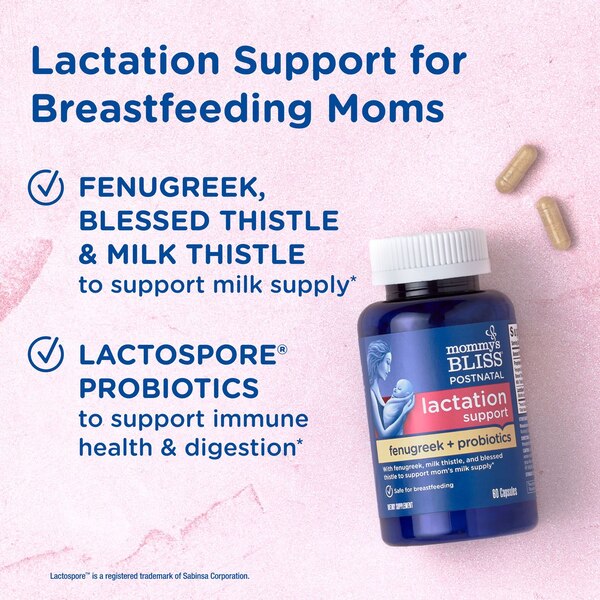 Mommy's Bliss Postnatal Lactation Support Capsules, 60 CT