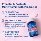 Prenatal Multivitamin and Probiotics, 45 CT, thumbnail image