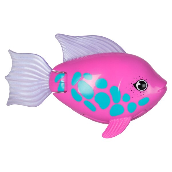 Swim Ways Rainbow Reef Swimming Fish, Assorted Characters