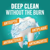 Therabreath Deep Clean Oral Rinse, Fresh Mint, 16 OZ, thumbnail image