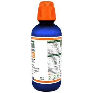 TheraBreath 24-Hour Healthy Gums Oral Rinse, Clean Mint, 16 OZ