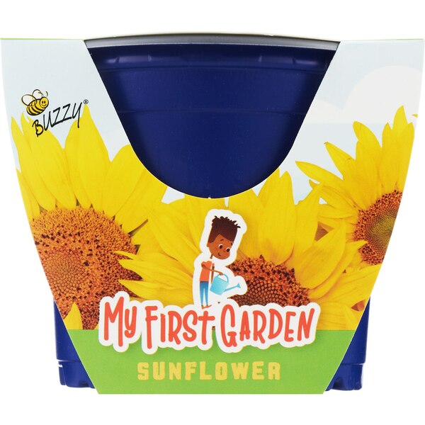 Buzzy Kid's Plastic Grow Pot Kit, Sunflower