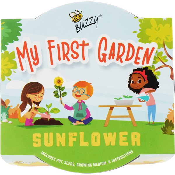 Buzzy Kid's Plastic Grow Pot Kit, Sunflower